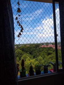 a window with plants on a window sill with a view at O melhor apt 1 quarto da Serra -ES in Serra