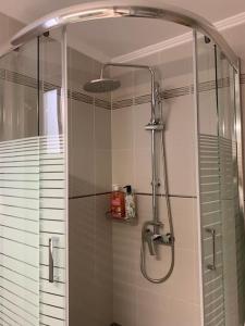 a shower with a glass door in a bathroom at Amarillo Apt. Nafplio Downtown in Nafplio