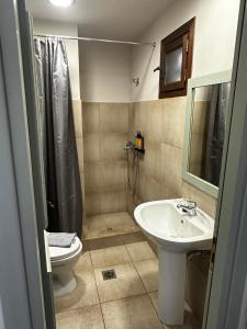 a bathroom with a sink and a toilet and a shower at Via Ferrata Hotel in Prousós