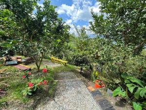 un jardín con un banco y algunos árboles y flores en Glamping La Tremenda 420, en Salento
