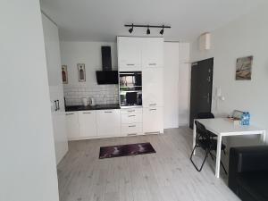 Kuchyň nebo kuchyňský kout v ubytování EDEN Apartament