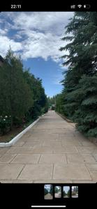 an empty road with trees on the sides of it at Нур пансионат in Bosteri