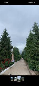 a road with trees and flowers in a park at Нур пансионат in Bosteri