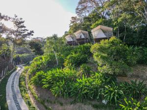 eine Reihe von Cottages auf einem Hügel mit einer Straße in der Unterkunft Quimera Glamping in Pacuar