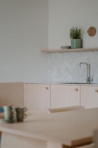 a kitchen with a sink and a counter top at Wanda Apartments in Parcines