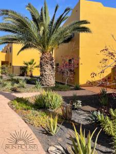 Fotografia z galérie ubytovania Sun House v destinácii Corralejo