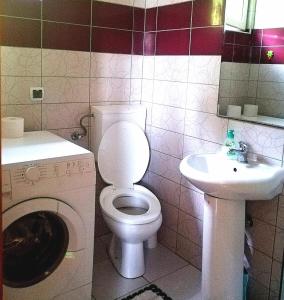 a bathroom with a white toilet and a sink at Apartment Dobra vila in Perućac