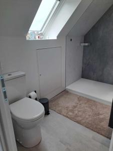 ein Badezimmer mit einem weißen WC und einem Dachfenster in der Unterkunft VENT DE FOLIE in Le Crotoy