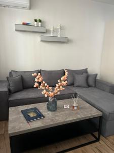 sala de estar con sofá y mesa en Paggaio Escape Apartments, en Nikísiani