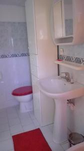 een witte badkamer met een toilet en een wastafel bij NIOLU in Albertacce