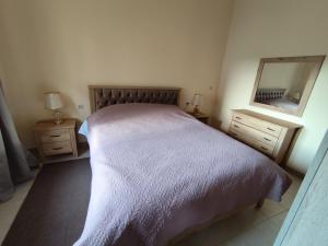 a bedroom with a large bed and a mirror at Garden Home 2 in Kalymnos