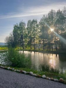 un cuerpo de agua con árboles y el sol brillando en PrzyStań pod Łysą Górą, en Bostów