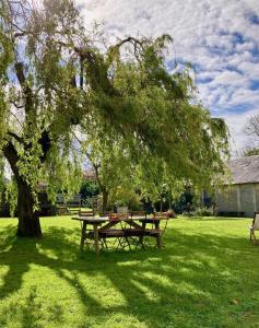 a picnic table under a tree in a field at La Chambre du Saule in Trévières