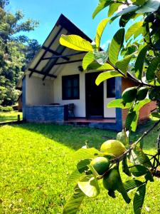 a tree with green fruit in front of a house at Pedra Grande Adventure Park in Atibaia