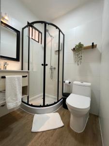 a bathroom with a shower and a toilet at Hotel Casa Aure in Santiago