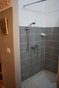 a shower with a shower head in a bathroom at Ryad Meknassia in Meknès