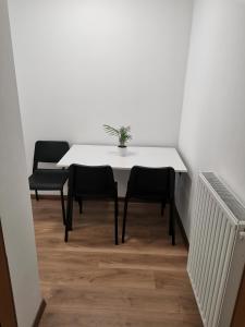 einen weißen Tisch und zwei Stühle in einem Zimmer in der Unterkunft Apartma David in Most na Soči