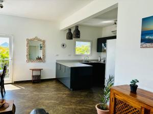 Kuchyň nebo kuchyňský kout v ubytování Appartement Clostelle