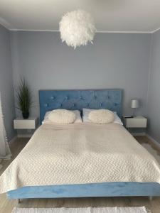 - une chambre avec un lit bleu et une tête de lit bleue dans l'établissement Domek między wodą a lasem, à Łączna