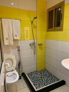 Matcheu palace Hôtel في ياوندي: حمام مع دش مع مرحاض ومغسلة