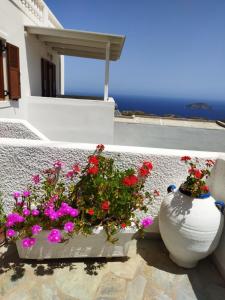 two vases filled with flowers sitting on the side of a building at ANATOLI ROOMS SERIFOs in Serifos Chora