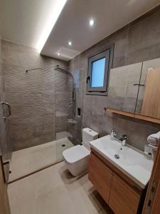 uma casa de banho com um WC, um lavatório e um chuveiro em Prodano em Petrokhorion