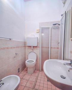 Koupelna v ubytování Hotel Rosa