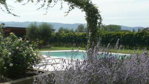 The swimming pool at or close to Il Fienile di Assisi