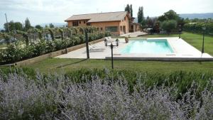 The swimming pool at or close to Il Fienile di Assisi