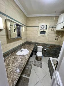 開羅的住宿－شقة فندقية بالزمالك إطلالة جزئية على النيل 3 نوم 2 حمام zamalek，一间带水槽和卫生间的浴室