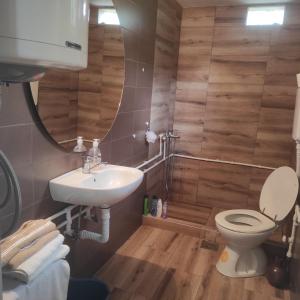 bagno con servizi igienici, lavandino e specchio di Vila Obradovic ad Arilje