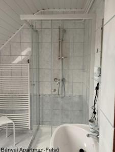 a bathroom with a shower and a sink at B&aacute;nyai Apartman in Gyula
