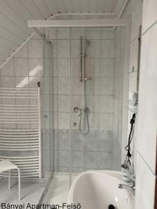 a bathroom with a shower and a sink at Bányai Apartman in Gyula