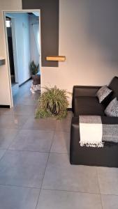 Φωτογραφία από το άλμπουμ του Libertador del Valle σε Rivadavia