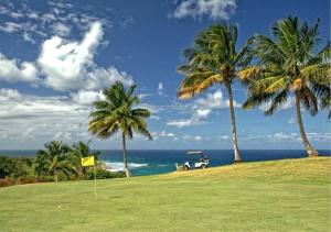 een golfkar geparkeerd naast palmbomen en de oceaan bij Relax Home Plenty Space Near The Airport - 4min in Aguadilla