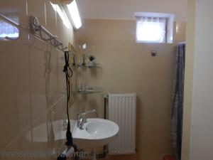 a bathroom with a sink and a shower at B&aacute;nyai Apartman in Gyula