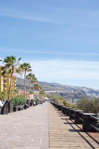 a wooden boardwalk with palm trees on a beach at Candelaria vistas al mar in Candelaria