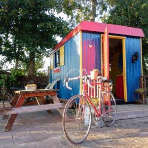een fiets geparkeerd voor een tiny house bij De Stadsgaten in Rouveen