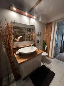 uma casa de banho com um lavatório e um WC em Freudi`s Berghütte em Neuhausen auf den Fildern