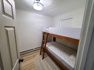 a small room with a bunk bed in it at Updated Douglas Apartment, Close to Sandy Beach in Juneau