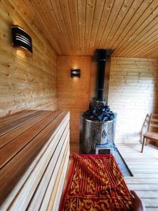 een kamer met een sauna, een open haard en een tapijt bij Forteca, pokoje gościnne nad stawem in Dzierżoniów