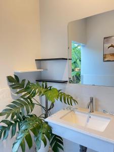 Afbeelding uit fotogalerij van Cle homestay in Hue