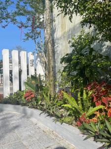 Afbeelding uit fotogalerij van Cle homestay in Hue +18 foto's