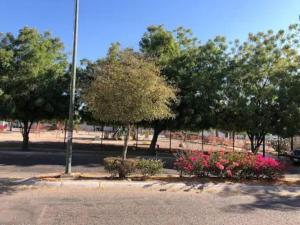 Zahrada ubytování Departamento Eren La Paz México Baja California Sur
