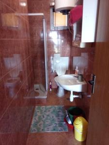 a bathroom with a toilet and a sink and a shower at Apartmani Ivan in Gornji Karin +15 photos