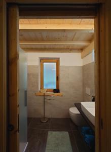 a bathroom with a toilet and a window at Casetta Vanda in Santo Stefano di Cadore