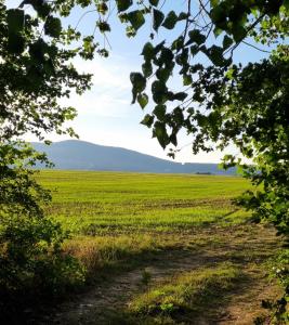 斯莫列尼茨Záruby Resort的相册照片