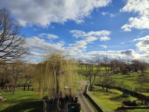 a weeping willow tree hanging over a road in a park at Im großen K in Ruppertshofen