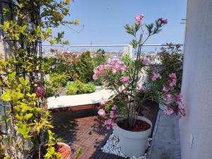 un balcón con macetas y flores. en Penthouse apartment, en Novi Sad