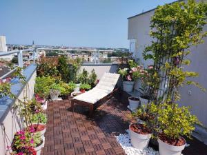 un banc assis sur un balcon avec des plantes en pot dans l'établissement Penthouse apartment, à Novi Sad